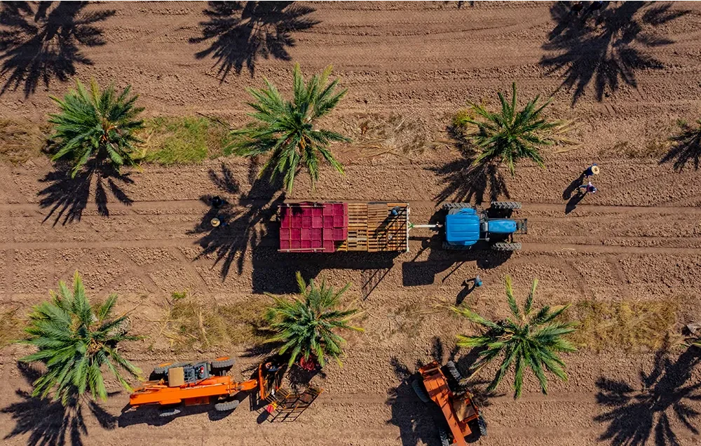 1bdc0293-5e76-4e7c-b63c-1cfcbe616153