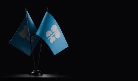 small-national-flags-organization-petroleum-260nw-2266402245